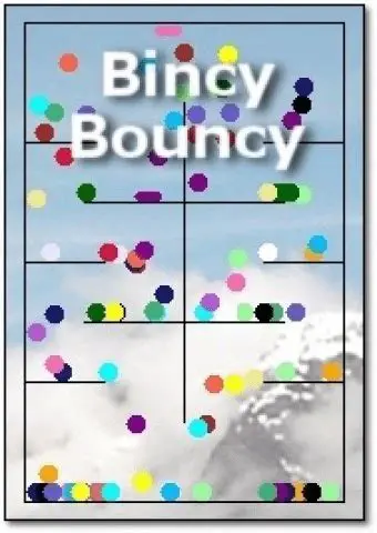 Key Features of Bincy Bouncy