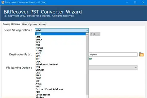Key Features of BitRecover PST Viewer