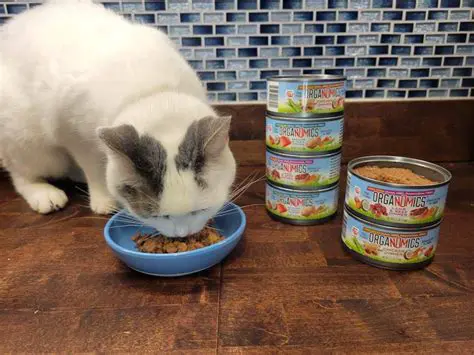 Key Features of Catfood CamSaver