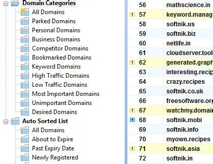 Key Features of Domain Punch Professional