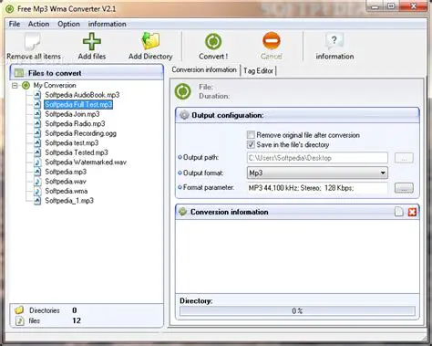 Key Features of Free MP3 WMA Recorder Editor