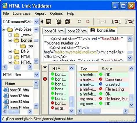 Key Features of HTML Link Validator