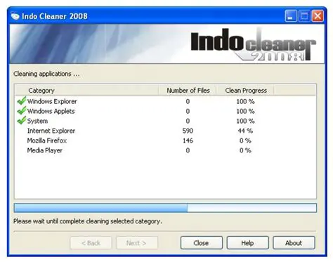 Key Features of Indo Cleaner