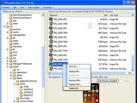 Key Features of iPhoneBrowser