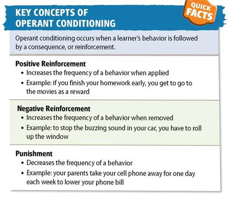 Key Features of KNOCKS Skinner