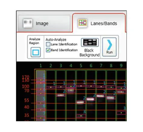 Key Features of MYImageAnalysis Software