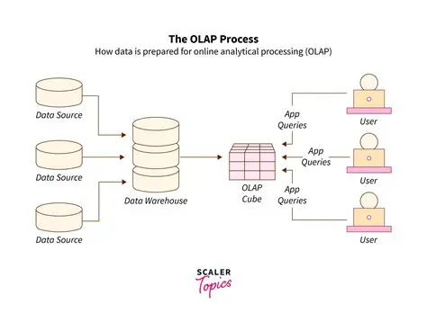Key Features of OLAP Statistics for Outlook