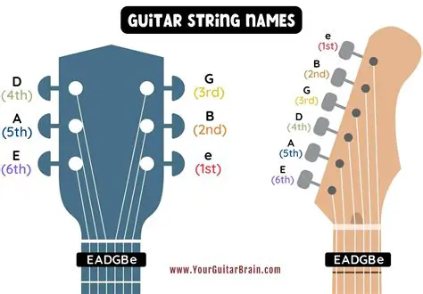 Key Features of Show Strings