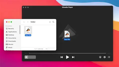 Key Features of SWF Media Browser