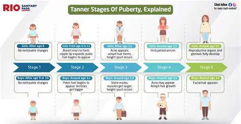 Key Features of Tanner Utilities