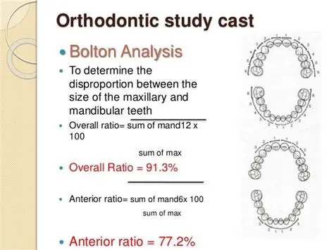 Key Features of the Bolton Calculator