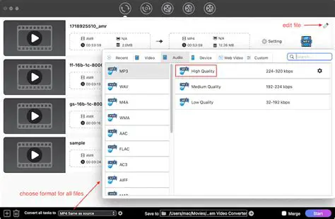 Key Features of the Free AMR To MP3 Converter