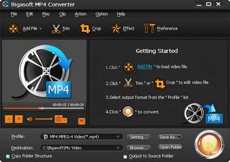 Key Features of the Free MP4 Video Converter