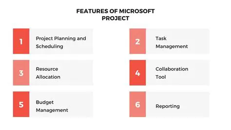 Key Features of the MS Project Adapter