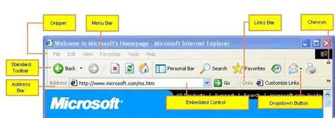 Key Features of the Winamp Toolbar for Internet Explorer