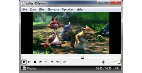 Key Features of Win8 DVD Player