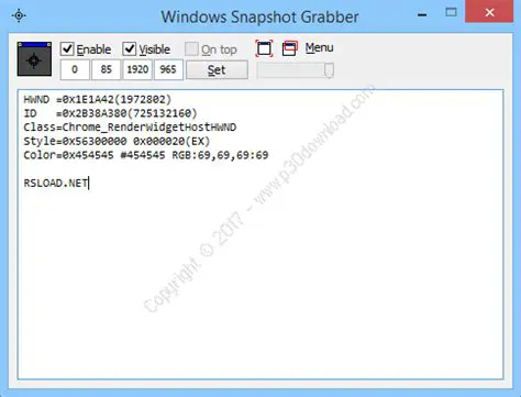 Key Features of Windows Snapshot Grabber