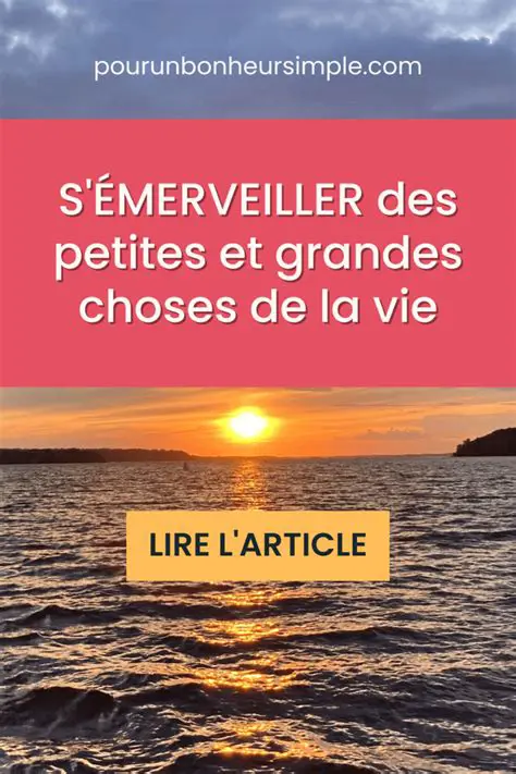 La Ville : Un Guide Complet pour Explorer, Vivre et S'Émerveiller