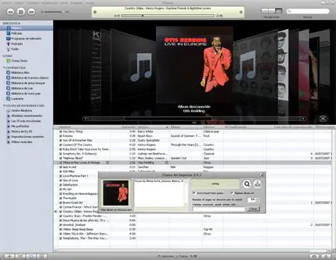 Launch iTunes Art Importer