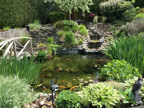 Le Plan du Bassin et de la Terrasse
