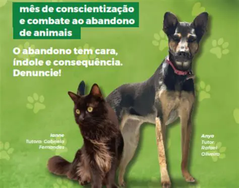 Leis de Abandono de Animais