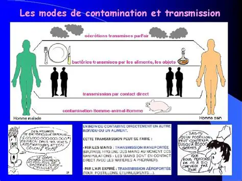 Les types de contamination