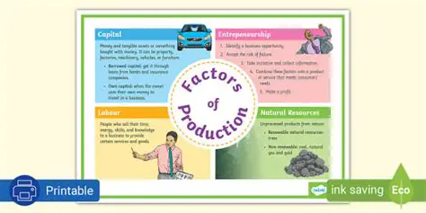 Level of Production and the Factors Affecting it