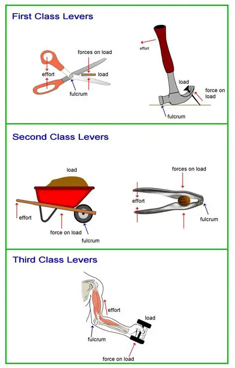 Levers and Simple Machines