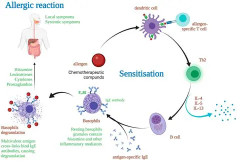 Lower Risk of Allergic Reaction