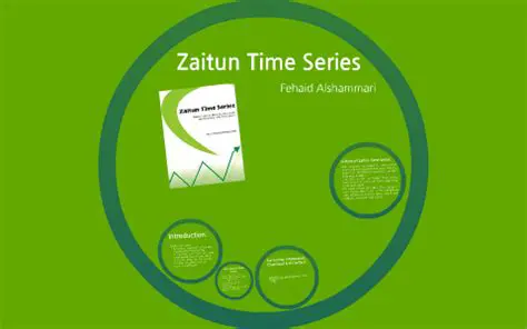 Main Features of Zaitun Time Series