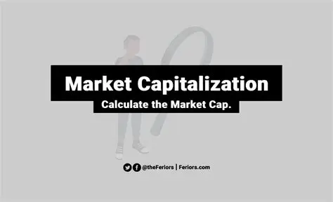 Market Capitalization of the Company