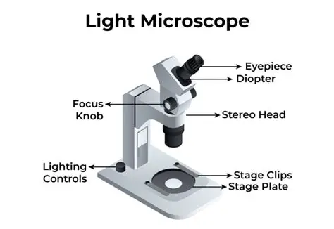 Matching the Phrases with the Microscope Types