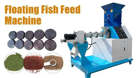 Mechanism of Automatic System Working Fish Feeding