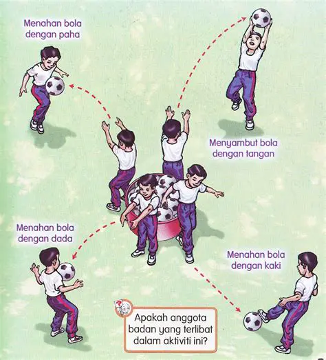 Meningkatkan koordinasi otot