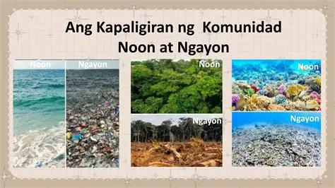Mga Pagbabago sa Panahon ng Kagubatan