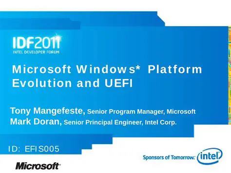 Microsoft Windows Platform