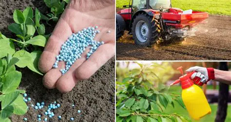 Monitor and adjust fertilizer application