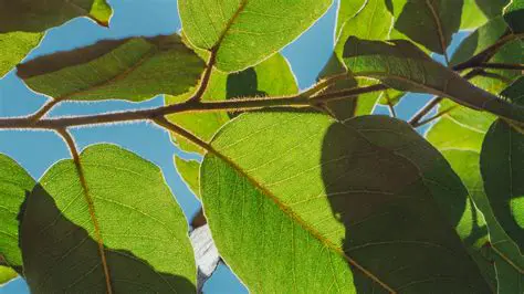 Monitor your crop regularly