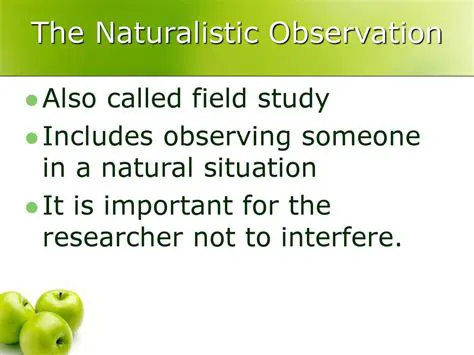 Naturalistic Field Observation Studies
