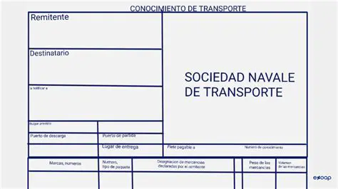 O caso do contrato de transporte internacional