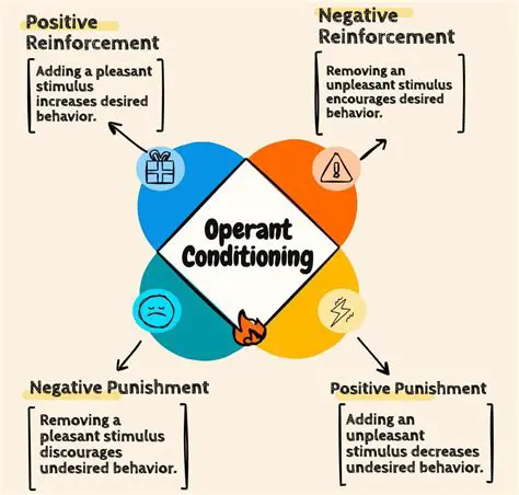 Operant Conditioning Theory