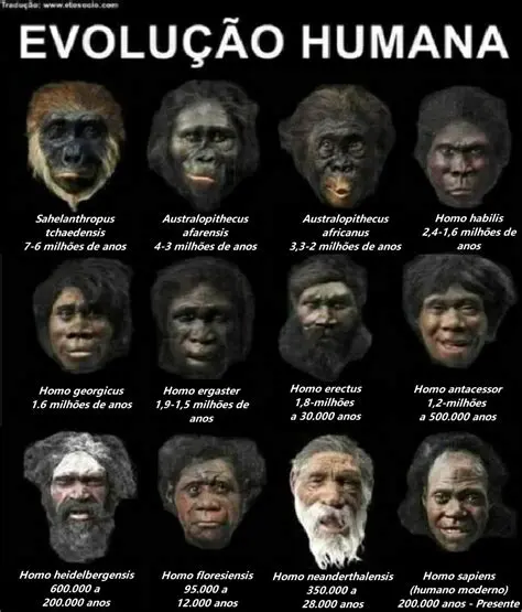 Os Seres Humanos como Produtos