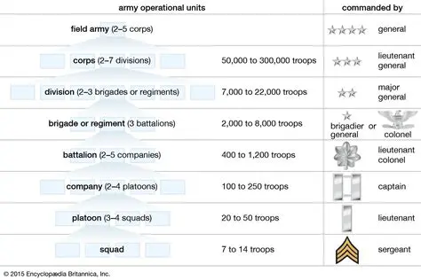 Over 100 Different Military Units