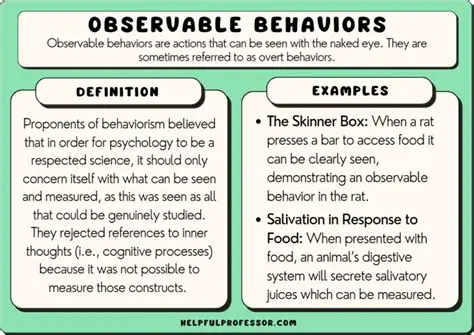 Overemphasis on observable behavior