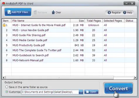 Overview of AnyBizSoft PDF to Word