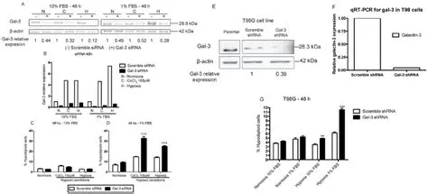 Oxygen and nutrient deprivation