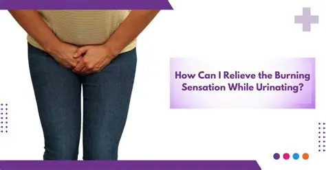Pain or burning sensation while urinating