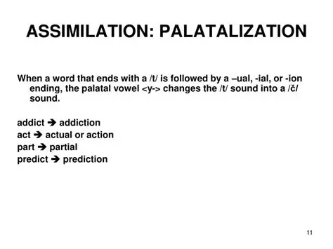 Palatalization Assimilation