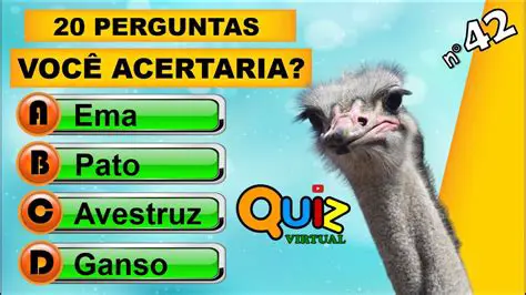 Perguntas e Respostas sobre o Desafio da Resposta Correta