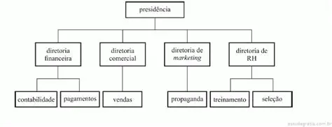 Perguntas e Respostas sobre Organograma